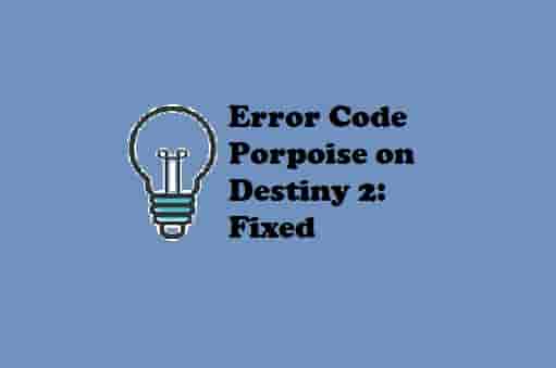 Error Code Porpoise on Destiny 2