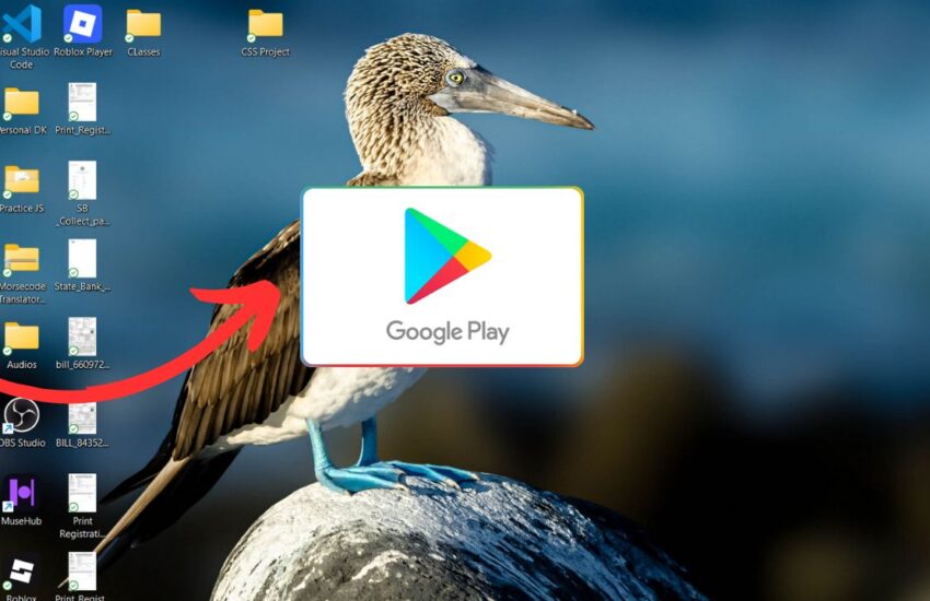 Methods to Install Play Store on Windows 11/10