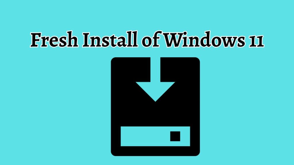 Fresh Install of Windows 11
