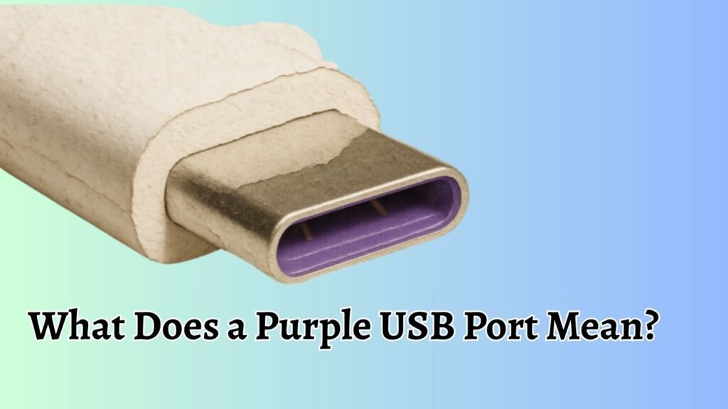What Does a Purple USB Port Mean