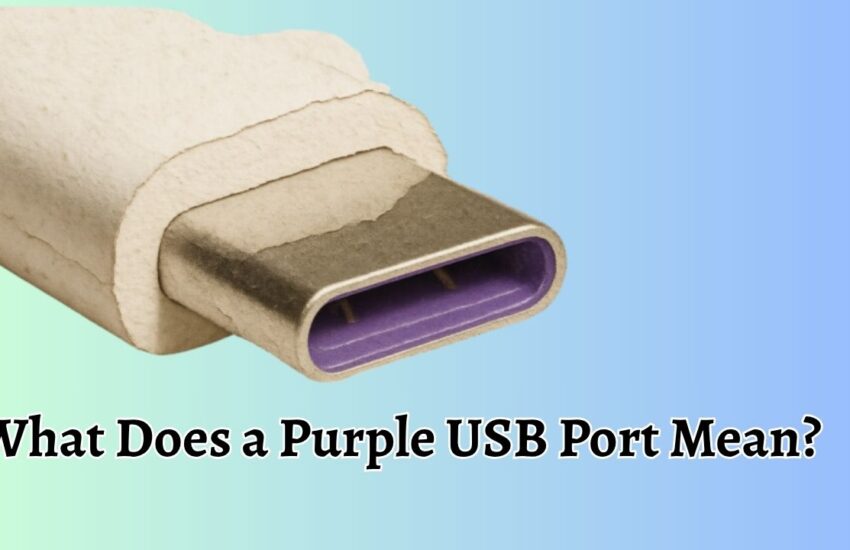 What Does a Purple USB Port Mean